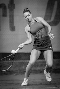 Ausschnitte 677 - Klippeldon